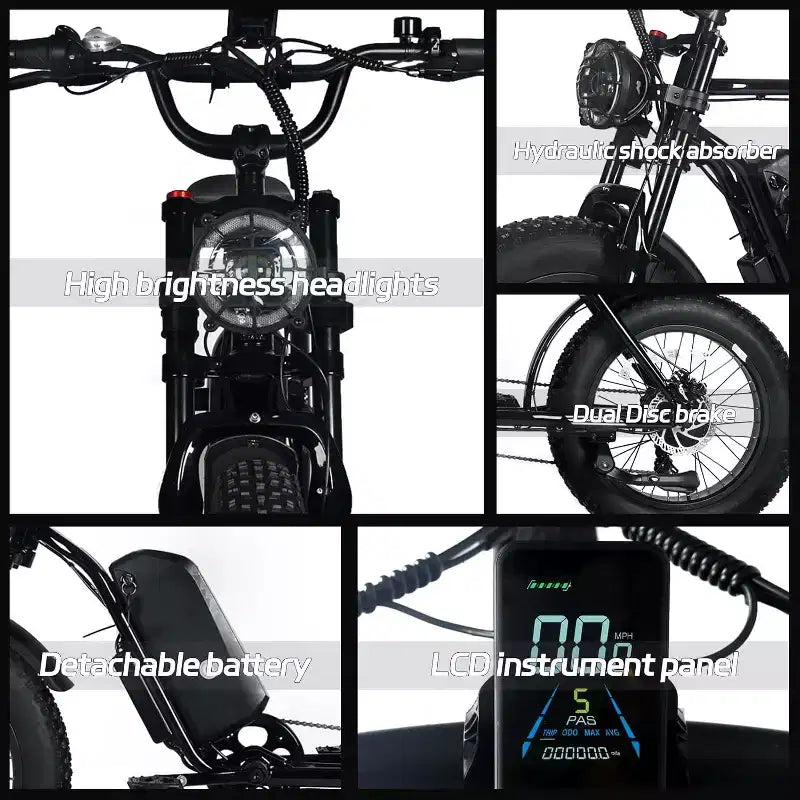 Bicicletta elettrica da montagna per adulti, pneumatici grassi 20 x 4.0, motore da 750W con batteria rimovibile da 48V 15.6Ah