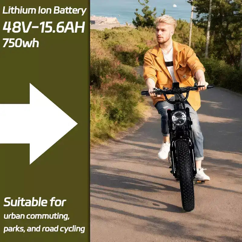 Bicicletta elettrica da montagna per adulti, pneumatici grassi 20 x 4.0, motore da 750W con batteria rimovibile da 48V 15.6Ah