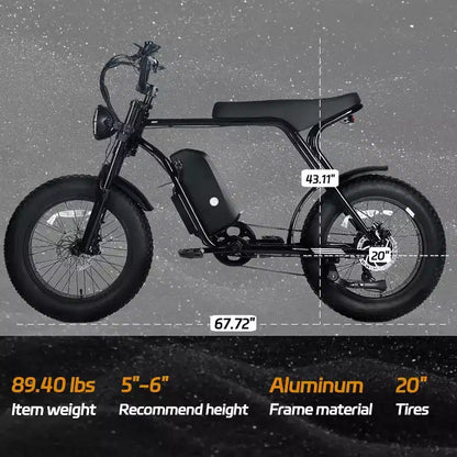 Bicicletta elettrica da montagna per adulti, pneumatici grassi 20 x 4.0, motore da 750W con batteria rimovibile da 48V 15.6Ah