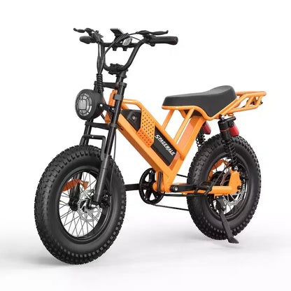 Eilleo 20 Fat Tire E-Bike  750W Motor (920W Peak), 24.9 mph, 5070 Mile Range, 48V 15.6Ah Battery, Dual Suspension, Shimano 7-Speed