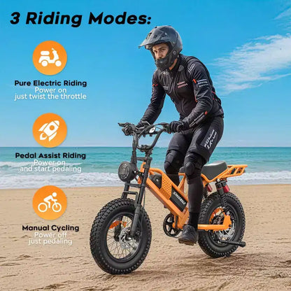 Eilleo 20 Fat Tire E-Bike Motore da 750W (920W di picco), 40 km/h, autonomia 80-110 km, batteria 48V 15.6Ah, doppia sospensione, Shimano 7 velocità